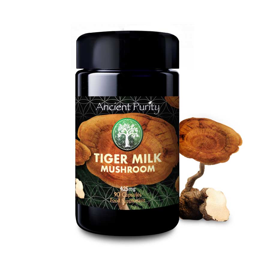 Tiger Milk Mushroom